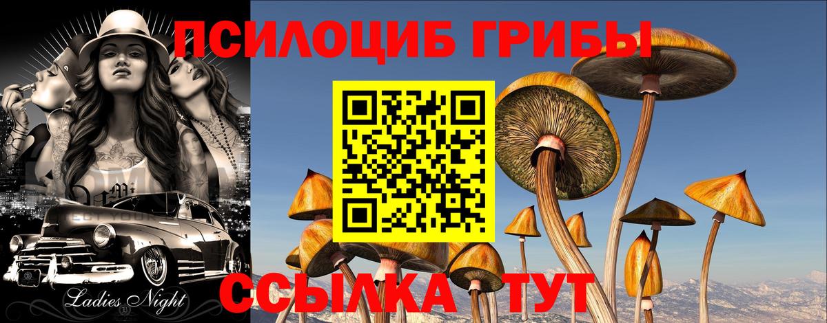 Галлюциногенные грибы GOLDEN TEACHER  Вход с VPN  Псилоцибиновые грибы Psilocybe  Тобольск 