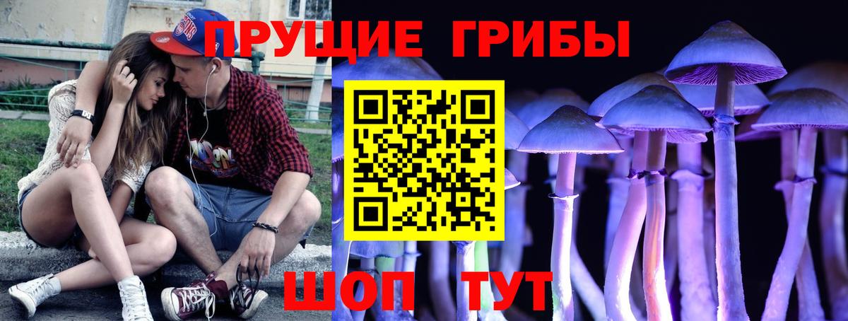 Галлюциногенные грибы прущие грибы Тобольск